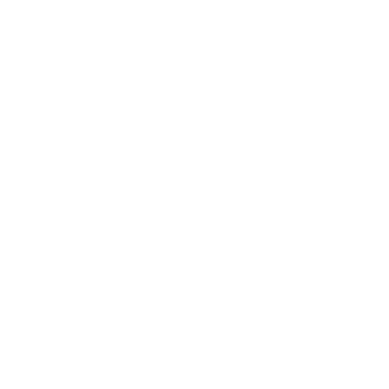 flyinglogo